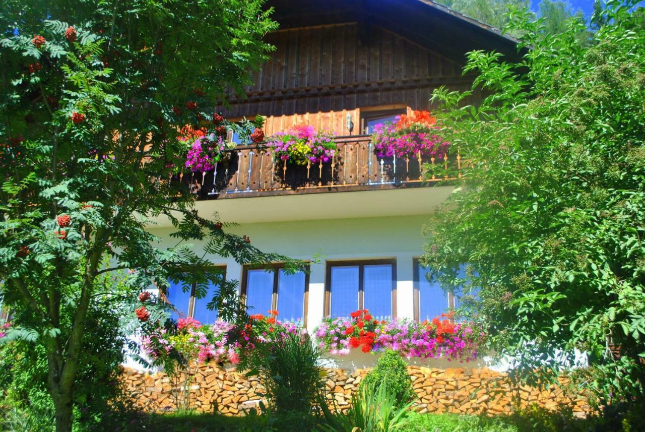 Apartment Zum Wasserfall Krakaudorf 外观 照片