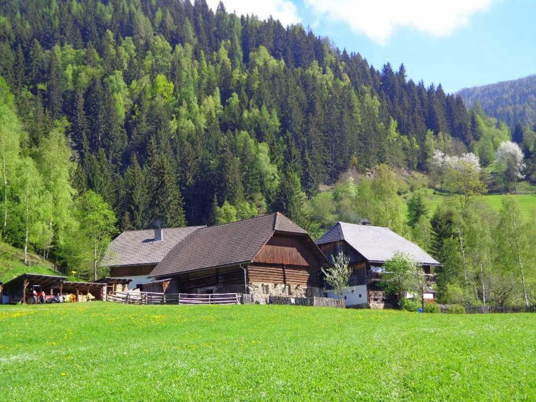 Apartment Zum Wasserfall Krakaudorf 外观 照片