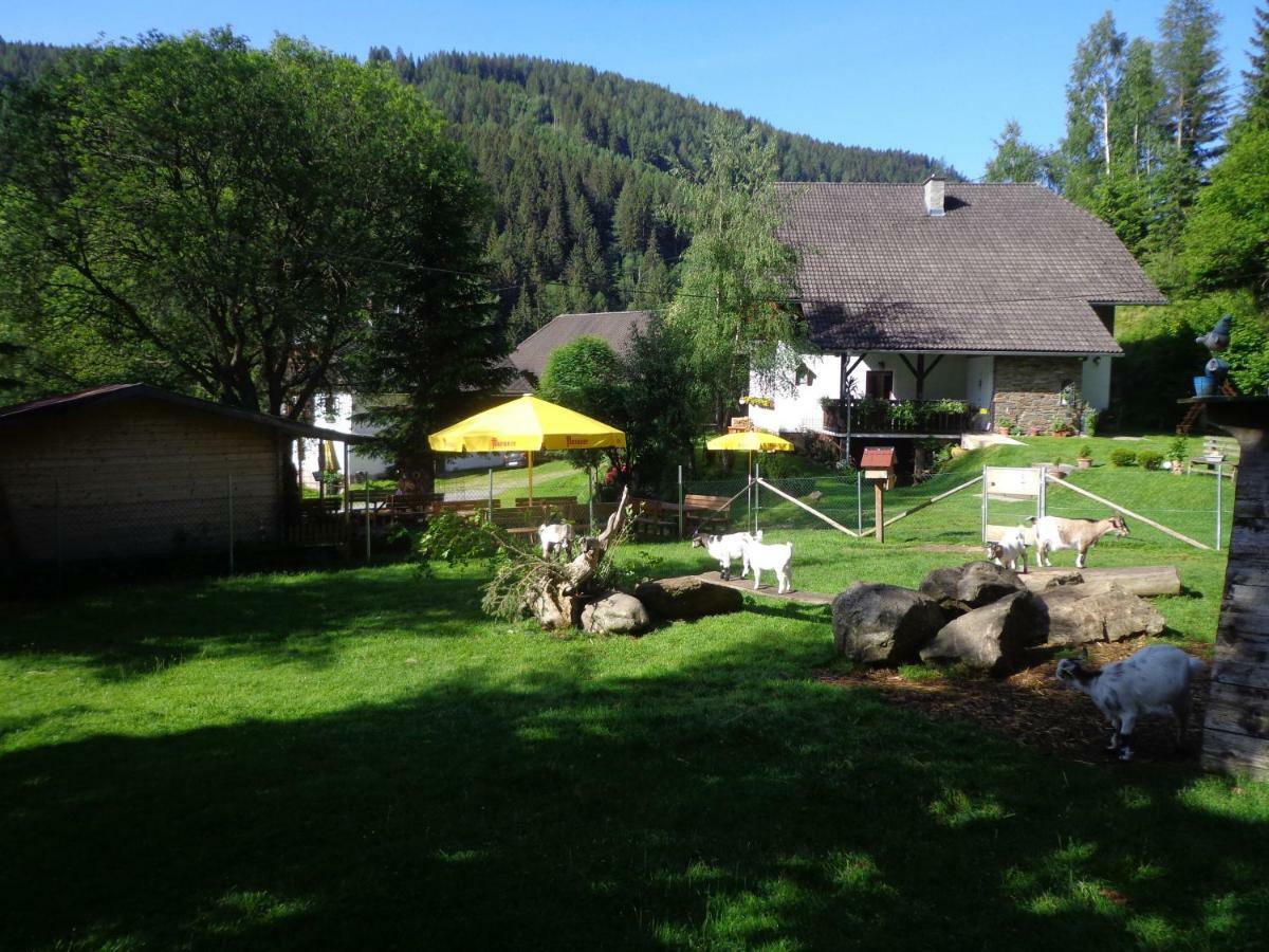 Apartment Zum Wasserfall Krakaudorf 外观 照片